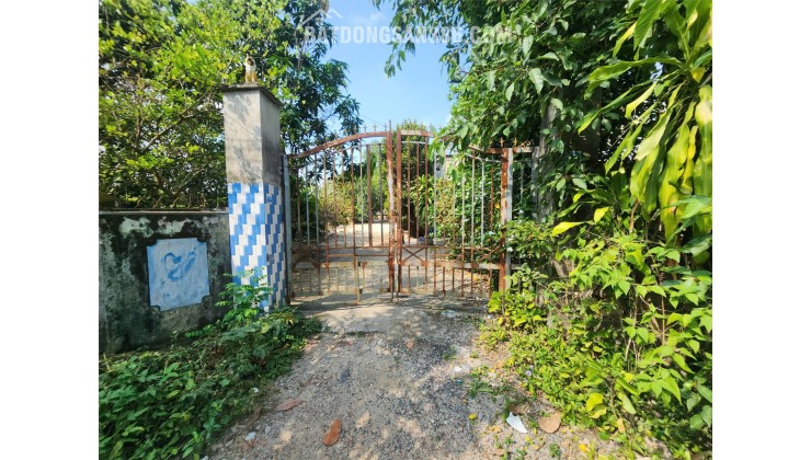 NGÂN HÀNG THANH LÝ NHÀ MT 12M, ĐƯỜNG NHỰA 8M, DT 1116M2, PHÚ GIÁO BD